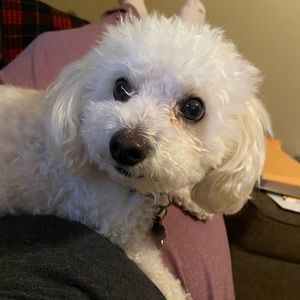 Meet your Posher, Joanna